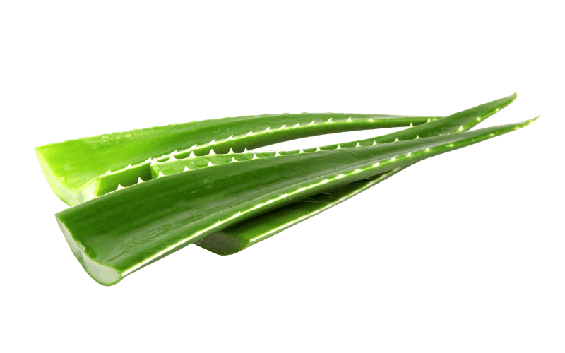 Green placenta összetevő aloe vera